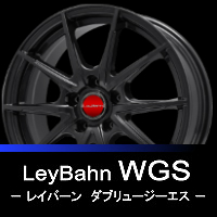 LeyBahn WGS